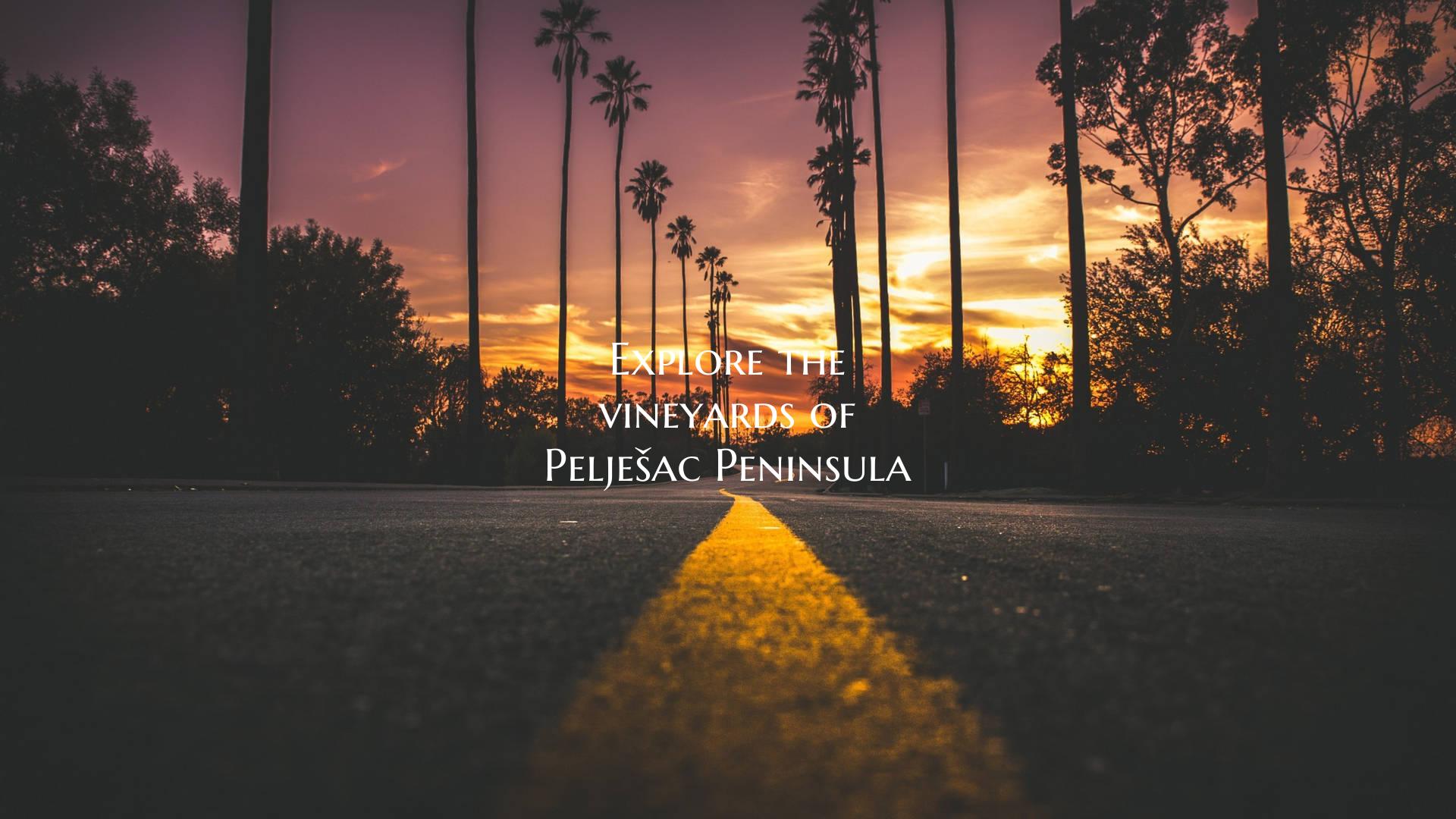 Explore the vineyards of Pelješac Peninsula