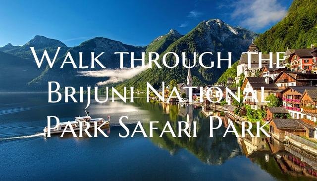 Walk through the Brijuni National Park Safari Park